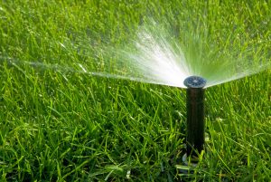 summer lawn maintenance
